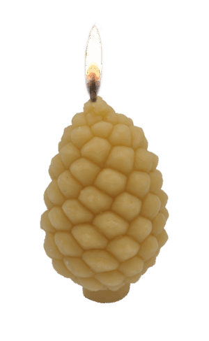 Dennenappel bijenwas 75x110 mm