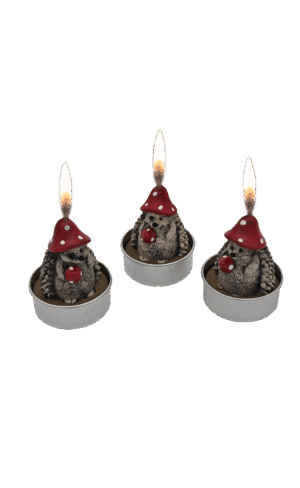 Waxinelicht Egel 3 stuks