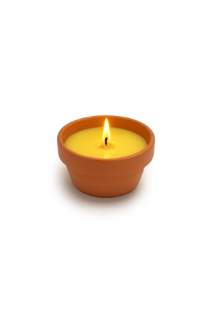 Terracottaschaal met citronellavulling